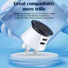 Dual USB Wall Charger UK