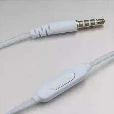 Earphones