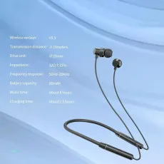 Noise-cancelling neckband earphones