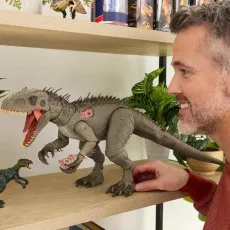 Man smiling while placing Jurassic World Hammond Collection Indominus Rex figure on shelf