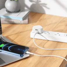 Dual USB Port 2.1A Fast Charger Adapter Charging Plug