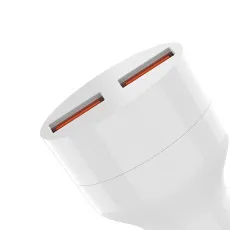 Dual port