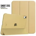 Smart Case for iPad 11th 2025 10th 10.9 9th 8th 7th 10.2 Pro 10.5 9.7 Air 5 Mini