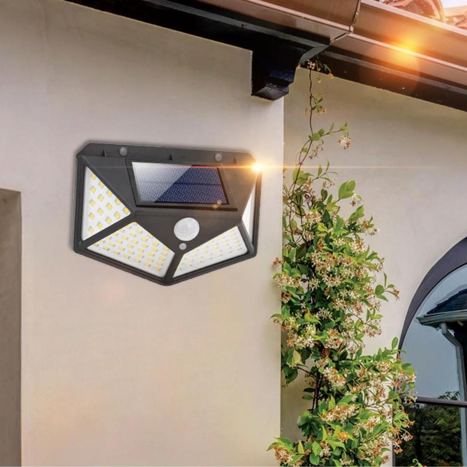 Solar Light for Garden