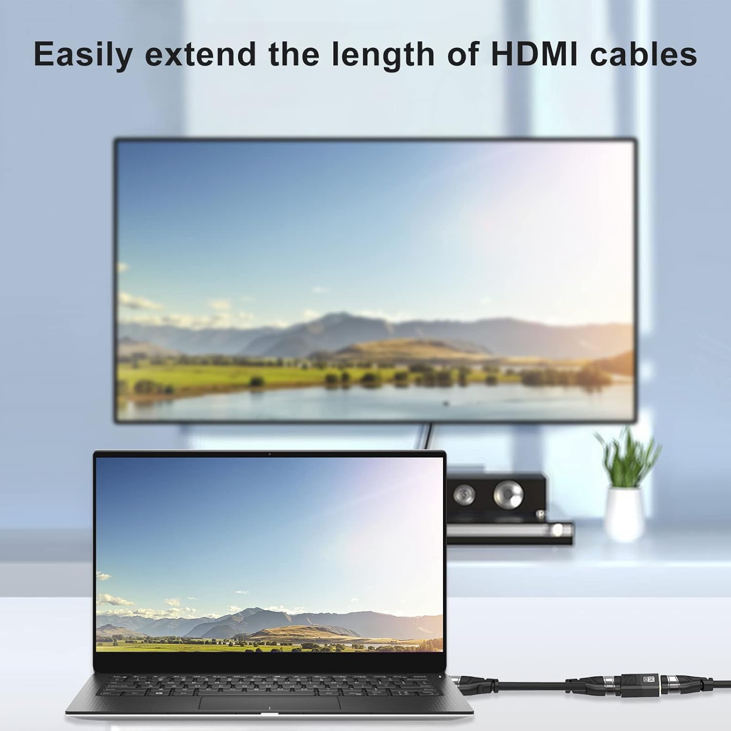 HDMI DisplayPort Female to Female Adopter