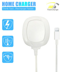 iPhone Travel Charger Adapter